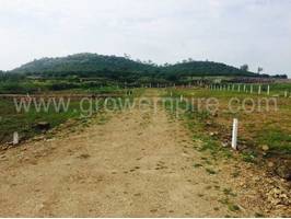Non Agricultural/Farm Land in Ashirwad Lanmark at Vadgaon Maval - image