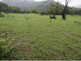 Agricultural/Farm Land in SILWASA FARM at PANSHET - image